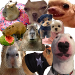 Capybara and doggo group