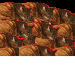 Cat Club Hangout