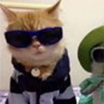DreDeeBee fan group