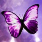~Butterfly Gals butterfly squad~