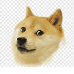 Donate to save a doge