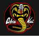 〔 The Cobra Kai Elites 〕