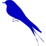 Blue Bird ®