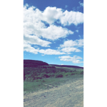 Aestheticsx