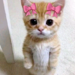 Pearlybubblie