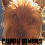 Doge & Puppy Lovers