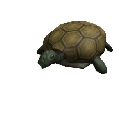 Turtle Shoulder Friend