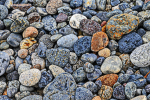 Community + Pebbles