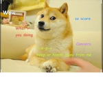 Dogeeeee Fammm :3