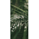 erika.fx