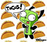 Taco Land