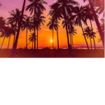 Tʀᴇɴᴅʏ ᴘᴇᴏᴘʟᴇ