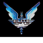 Elite Roblox Fighting Team