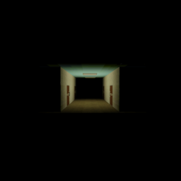 The Hospital