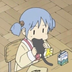 Cozy Plush