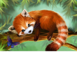 Red Panda Cafe Group
