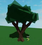 Phil the tree cult