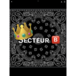 SECTEUR B { GANG }
