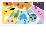 ~ The Eeveelutions ~