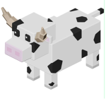 Cow | group