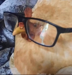 Chickens cloting