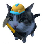 CAT TESTERS GROUP