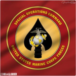 United States  Marine Special Operations Command