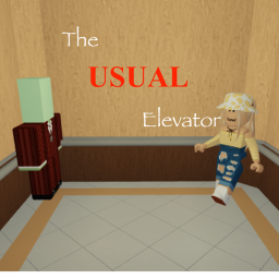 The Usual Elevator 😃