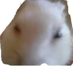 i have brian damage