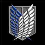 Scouts of Freedom