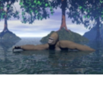 Aquatic Monkeys