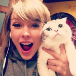 taylor swift cat club