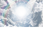 [SO] Goddess Race