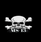 《LOS MS 13》