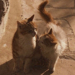 ❀
