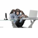 Monkey Typewriter