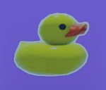 Duck Studios123