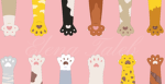The beautiful cats and kittens