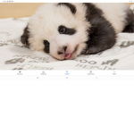 Power of Pandas