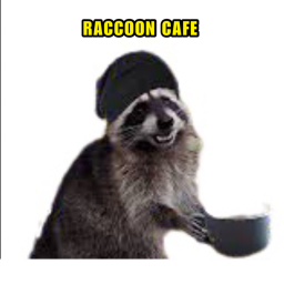 Raccoons United - Cafe