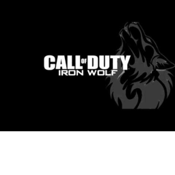 Call Of Duty: Iron Wolf