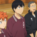 Haikyuu Fan Group!