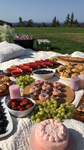 picnic days