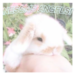 nessa’s angels!