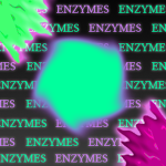 ENZYMES