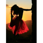 💃 🤸🏼‍♂️ 🌅 Sunset Dance And Gymnastics Academy