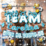 Carolinas team!
