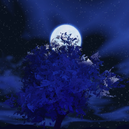 Celestial Haven