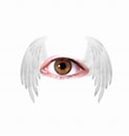 eye.jpg