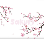 ʚSakuri